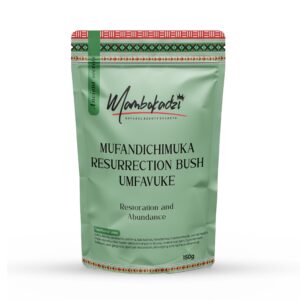 Mufandichimuka – Resurrection Herb (Myrothamnus flabellifolius)